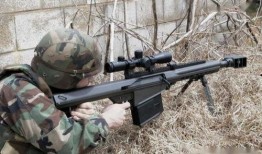 小学生步枪爆料视频,揭秘校园枪支安全隐患