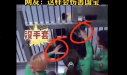 韩国娱乐节目爆料视频,爆料视频揭露明星幕后真相