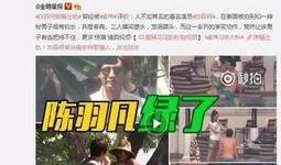 老陈最新爆料消息视频大全,最新视频大全揭秘幕后真相